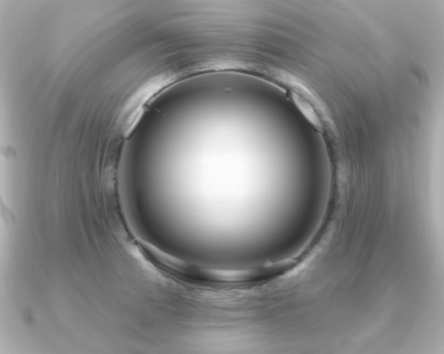 X0000091311185200708101458