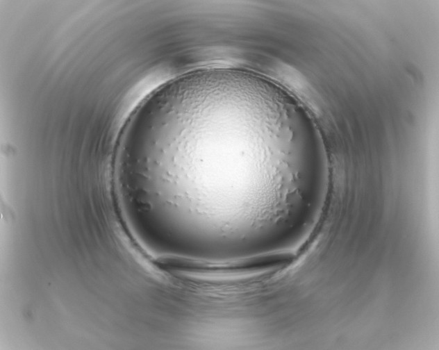 X0000091311186200708101458