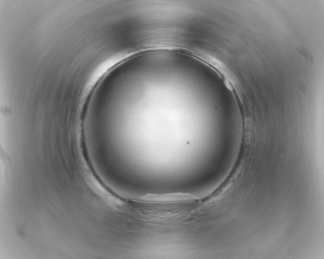 X0000091311187200708101458