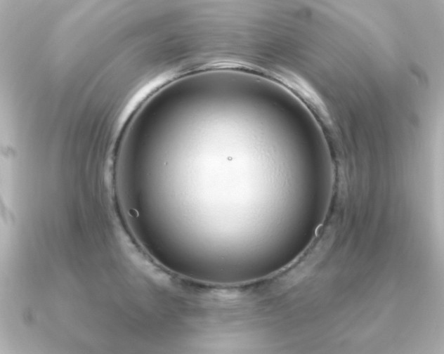X0000091311190200708101458