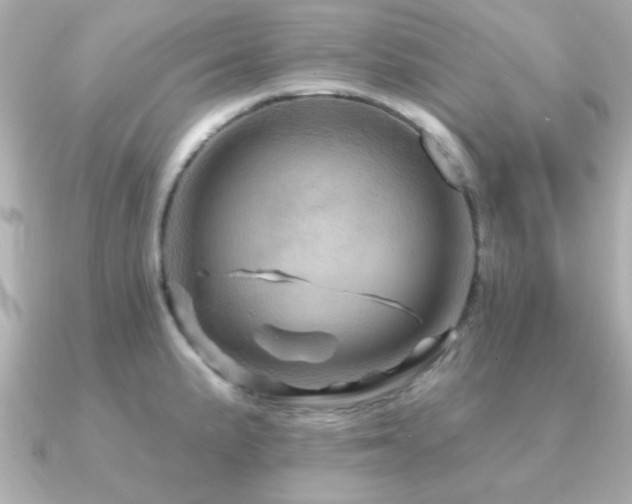 X0000091311191200708101458