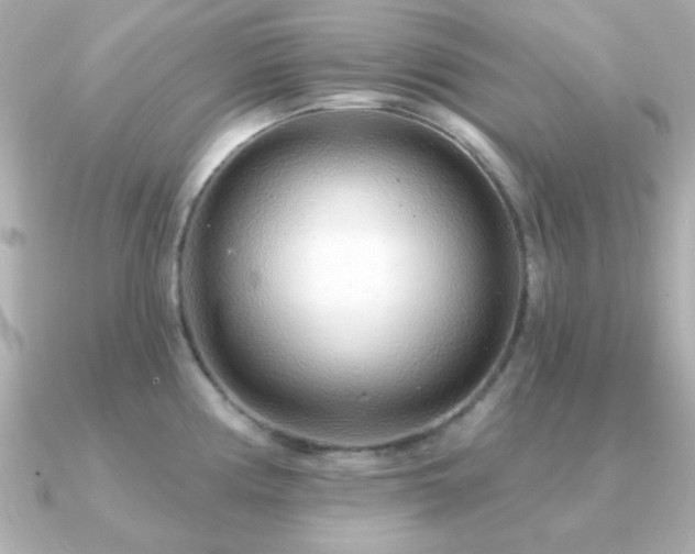 X0000091311194200708101458
