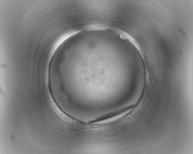 X0000091311195200708101458