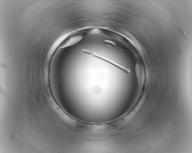 X0000091311196200708101458