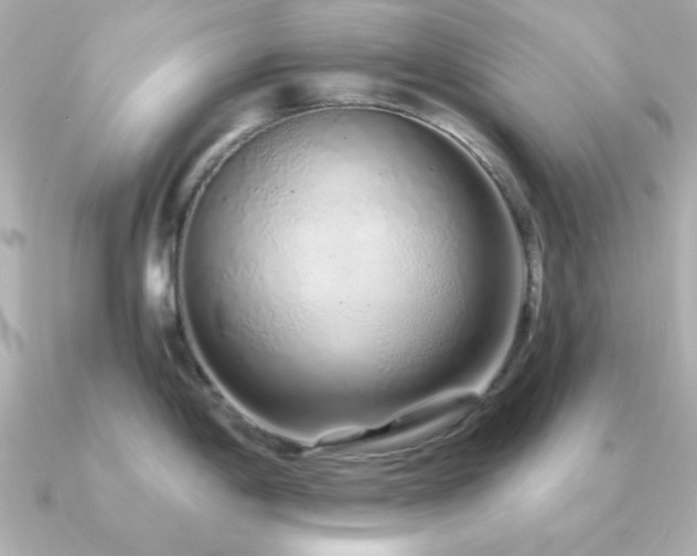 X0000091311198200708101458