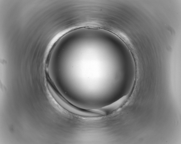 X0000091311200200708101458