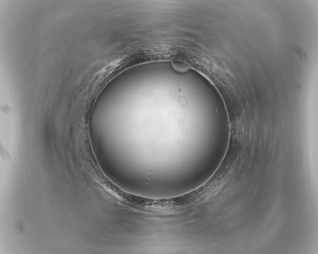 X0000091311201200708101457