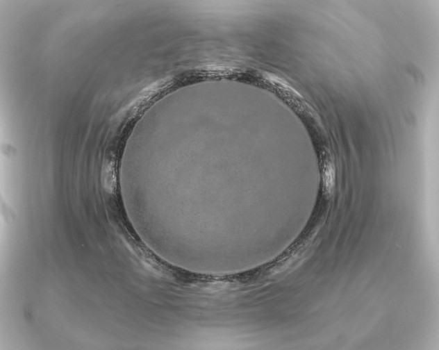 X0000091311204200708101457