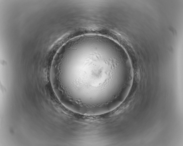 X0000091311205200708101457