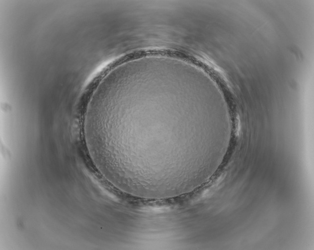 X0000091311208200708101457