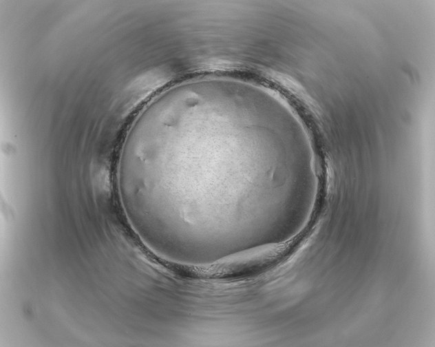 X0000091311209200708101457