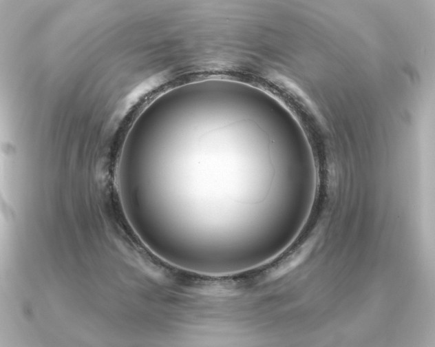 X0000091311210200708101457