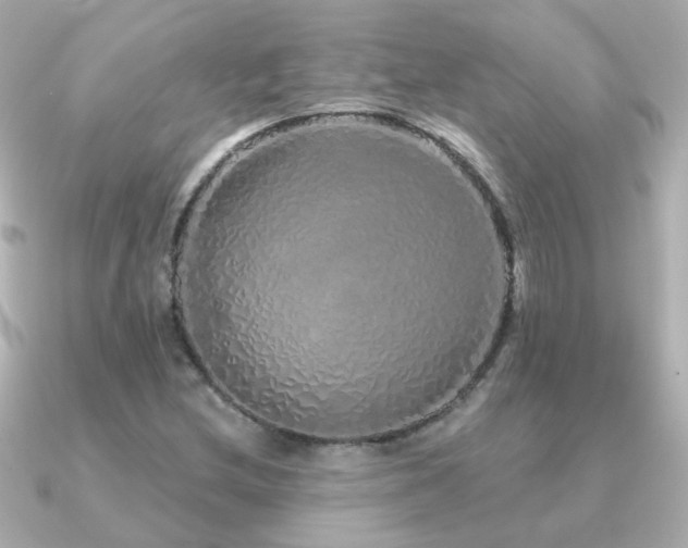 X0000091311212200708101457