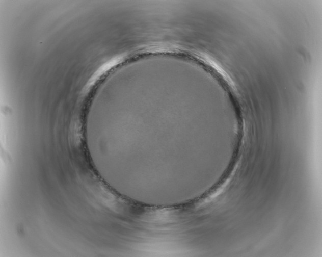 X0000091311213200708101457