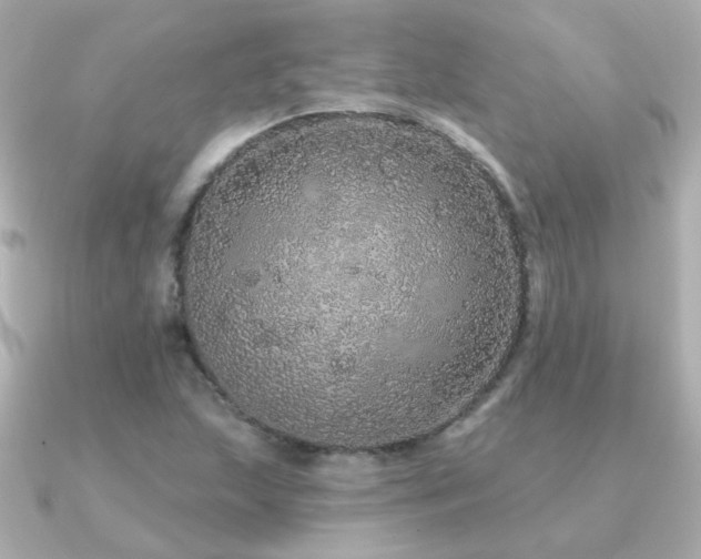 X0000091311215200708101457