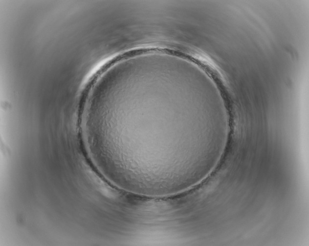 X0000091311216200708101457