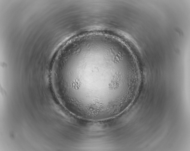 X0000091311217200708101457