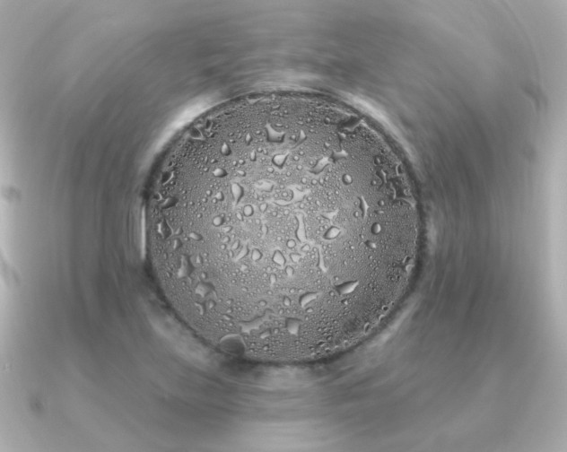 X0000091311219200708101457