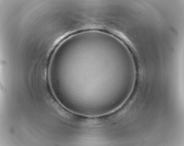 X0000091311220200708101457