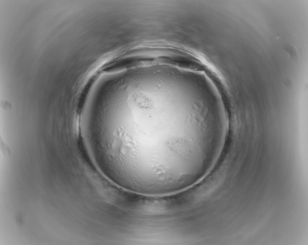 X0000091311221200708101457