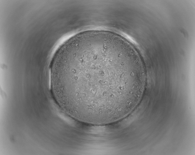 X0000091311223200708101457