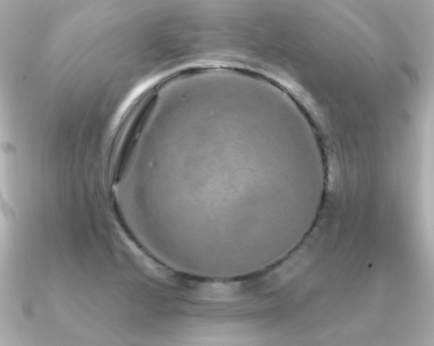 X0000091311224200708101457