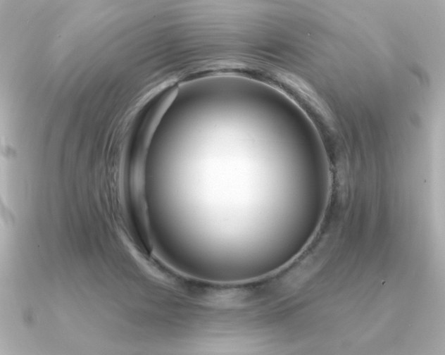 X0000091311225200708101457