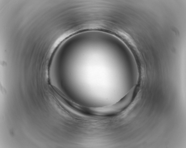 X0000091311226200708101457
