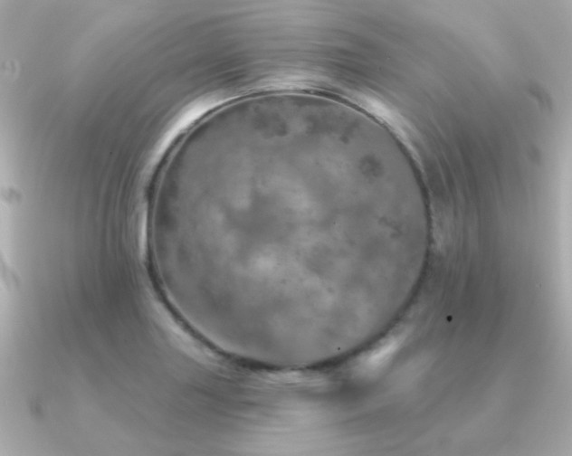 X0000091311227200708101457