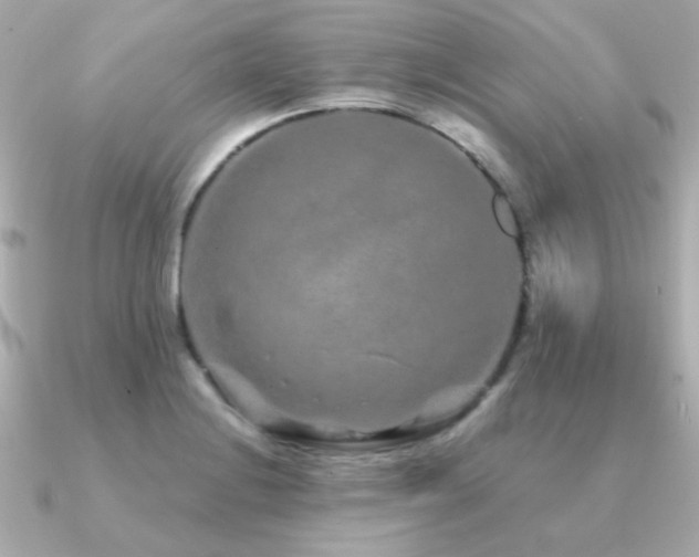 X0000091311228200708101457