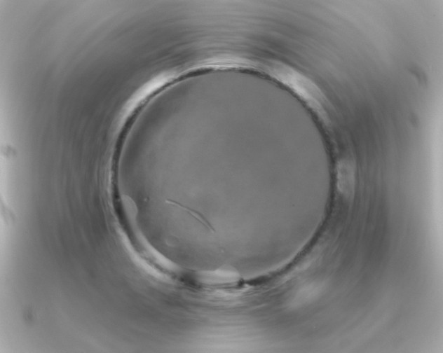 X0000091311229200708101457