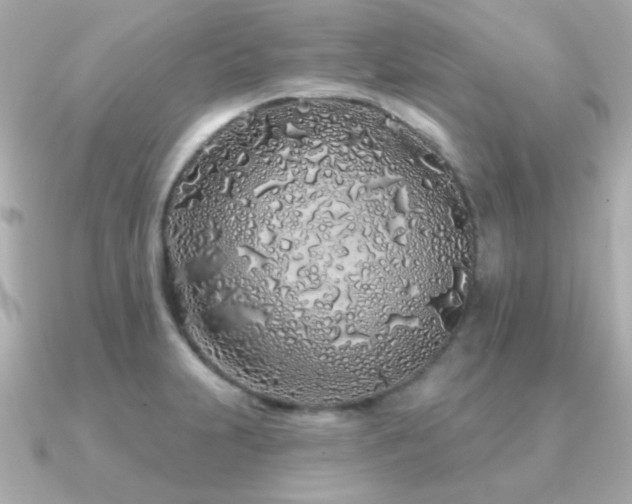 X0000091311231200708101457