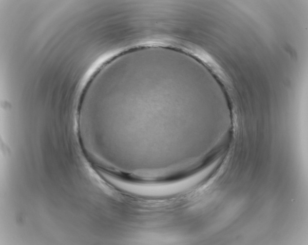 X0000091311232200708101457