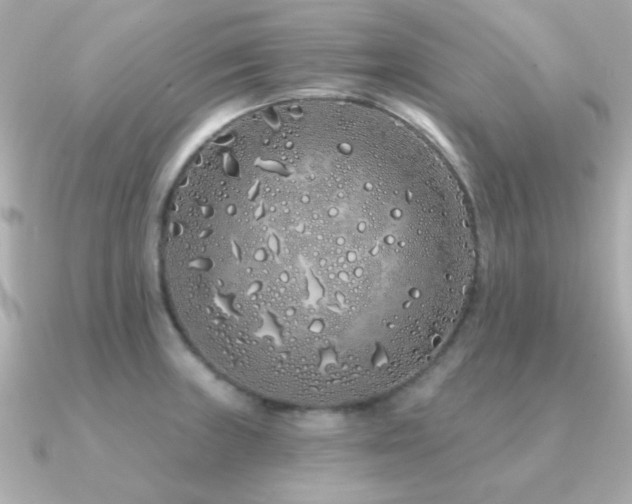X0000091311235200708101457