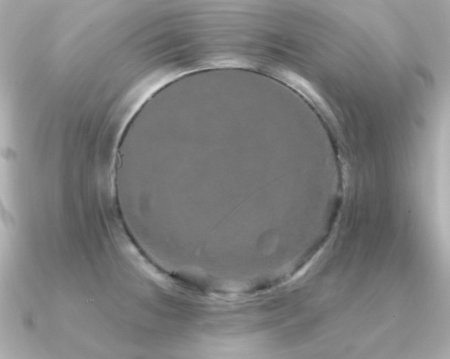 X0000091311236200708101457
