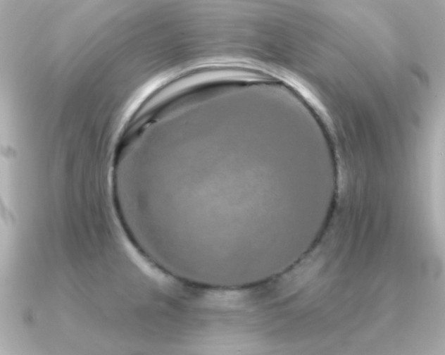 X0000091311237200708101457