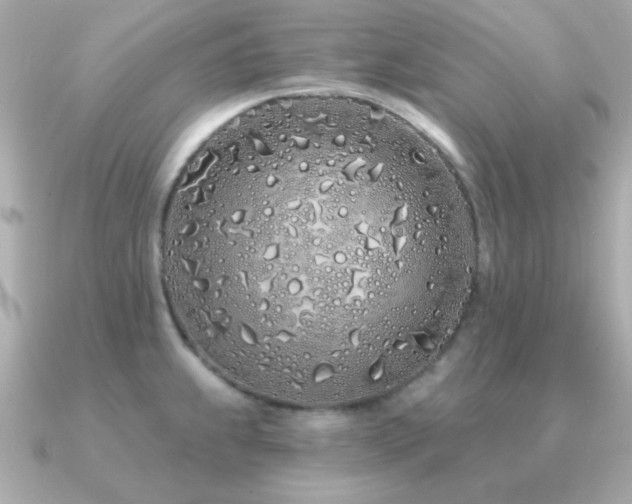 X0000091311239200708101457