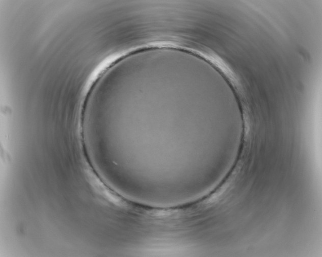 X0000091311240200708101458