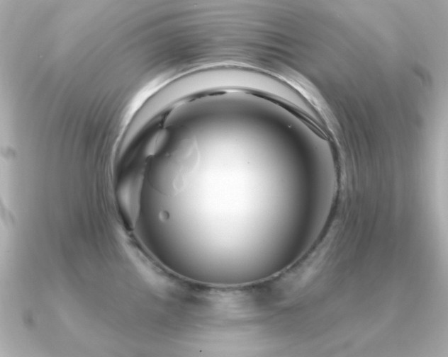 X0000091311242200708101458