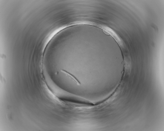 X0000091311244200708101458