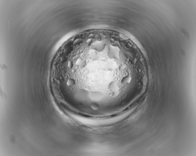 X0000091311245200708101458