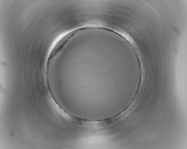 X0000091311248200708101458