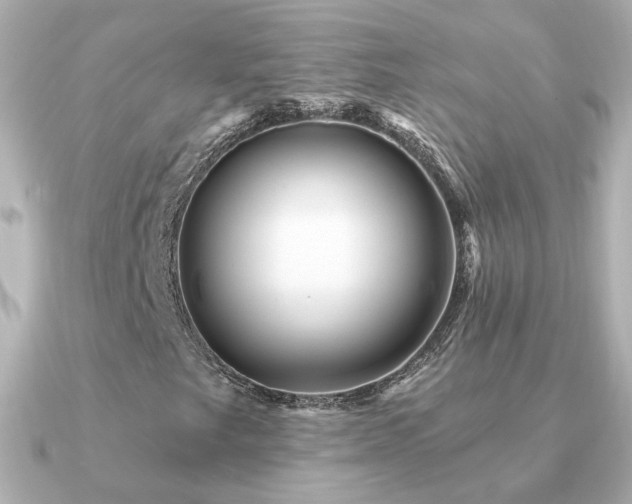 X0000091311249200708101457