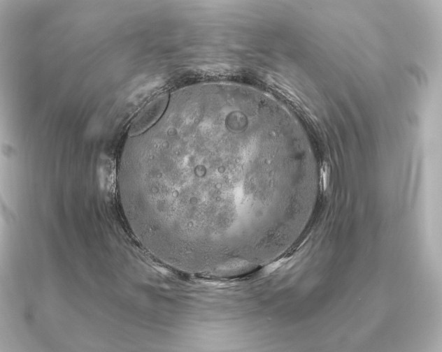 X0000091311251200708101457