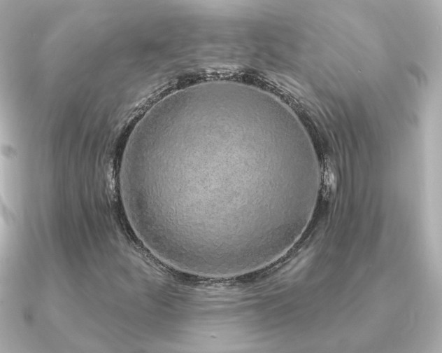 X0000091311252200708101457