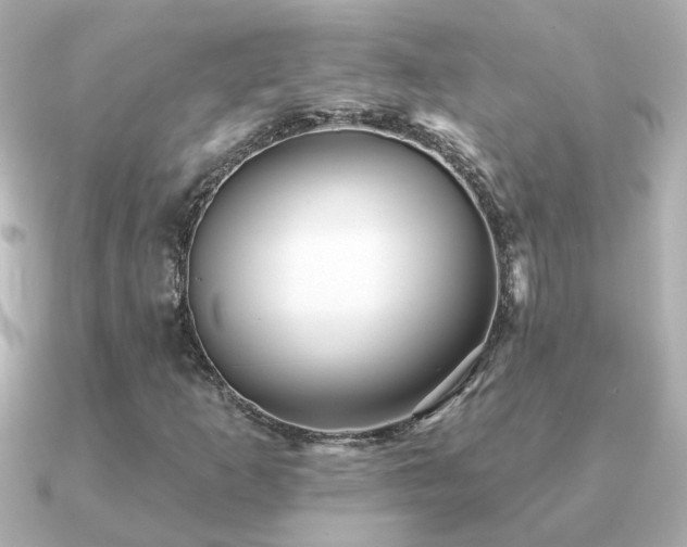 X0000091311253200708101457