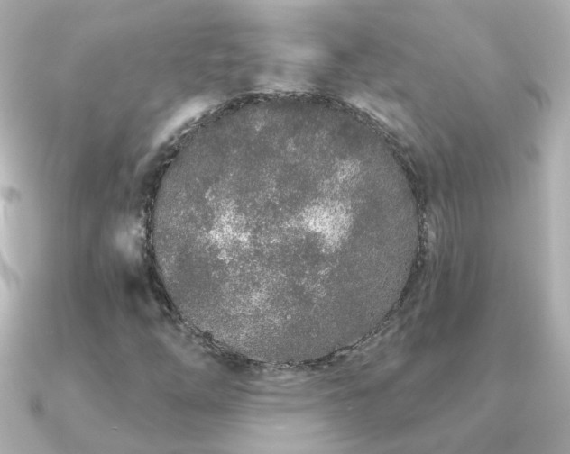 X0000091311254200708101457