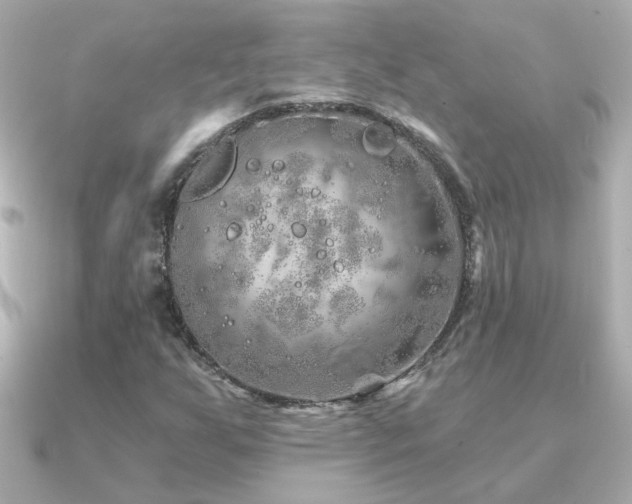 X0000091311255200708101457