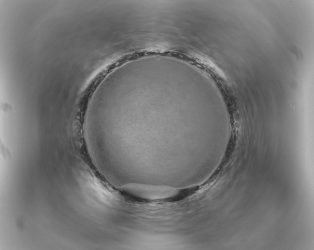X0000091311256200708101457