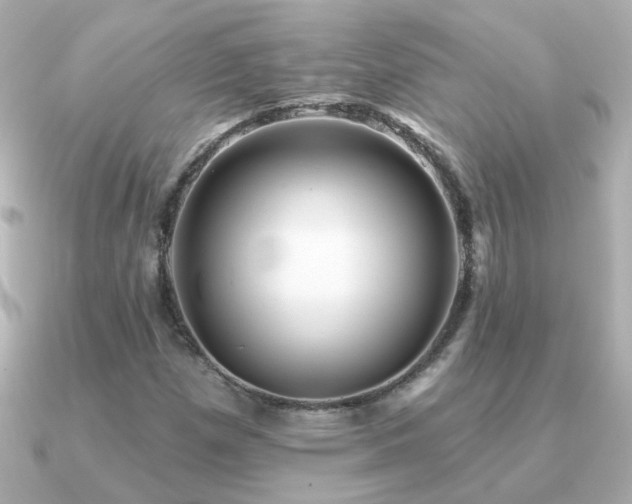 X0000091311257200708101457